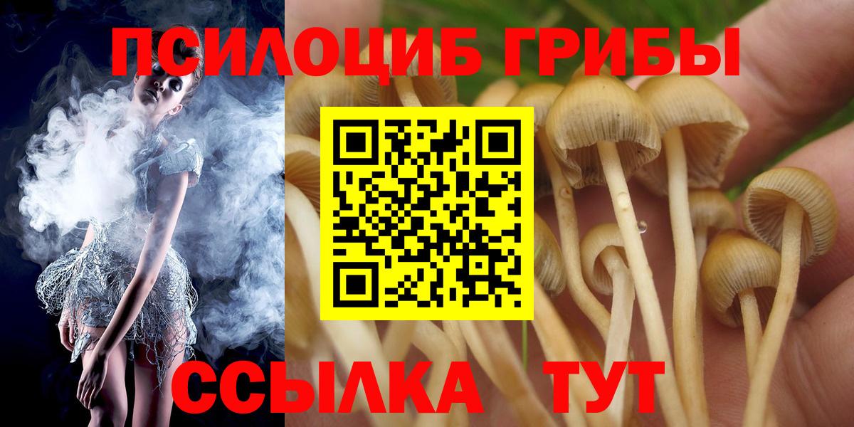 Псилоцибиновые грибы мухоморы Воронеж